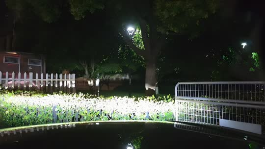 欢迎来到我的直播间
