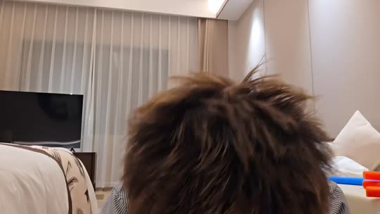 自驾游