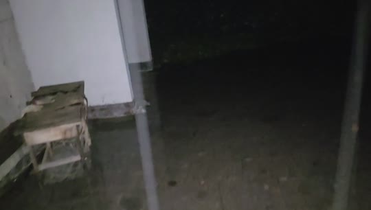 杭州基地第一晚