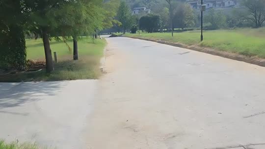 欢迎来到我的直播间