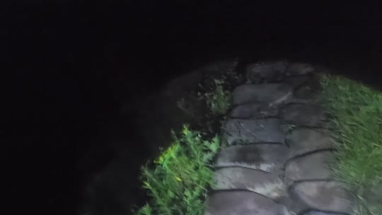 客栈任务2w