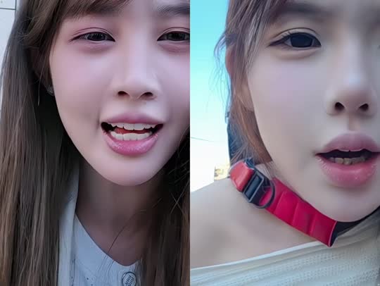 童话小镇x11求卡活动