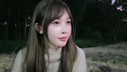 x11小镇纪录片 蓝莓up
