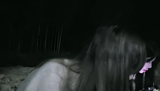 x11小镇纪录片 蓝莓up