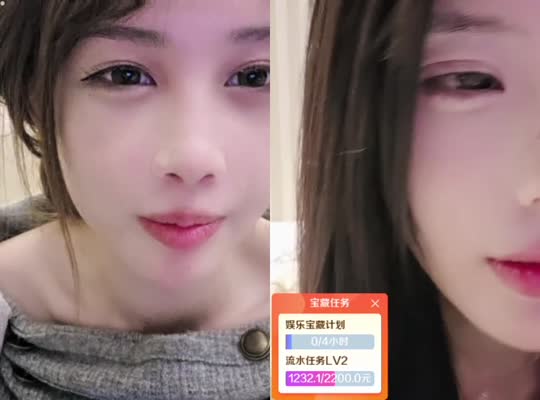 x11追鸟记