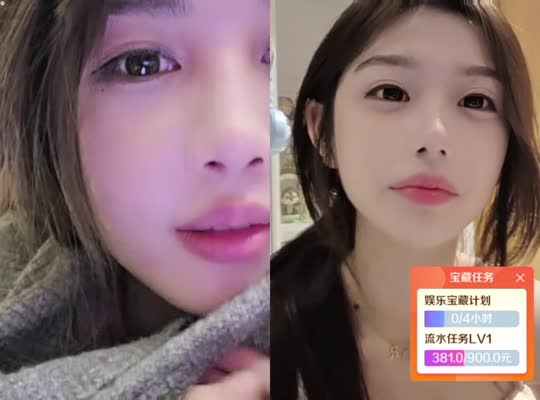 x11追鸟记