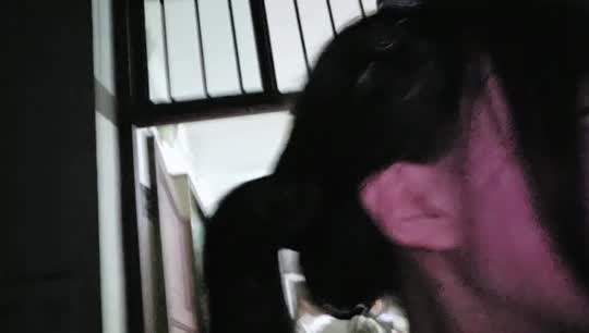 神奇摸金小史