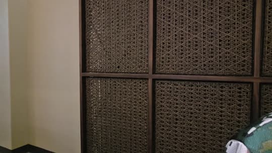 欢迎来到我的直播间