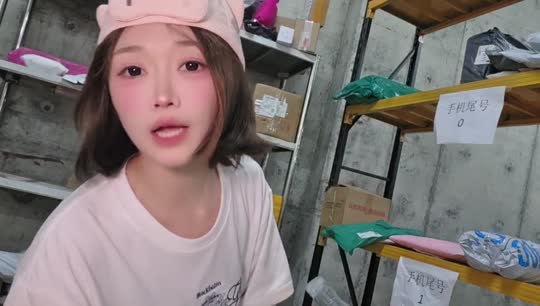 哑哑史