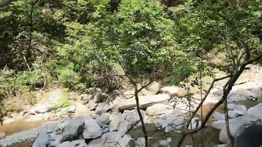 重生之我在童话小镇打工