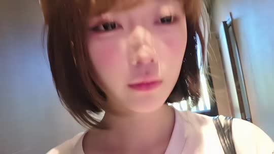 史氏家族拍卖会