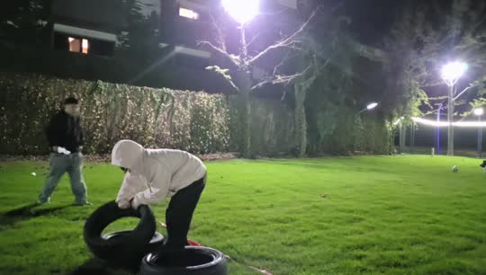 史氏家族拍卖会
