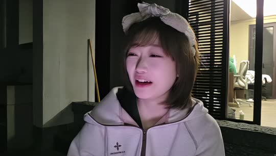 史氏家族拍卖会