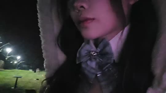 今天是什么○v○