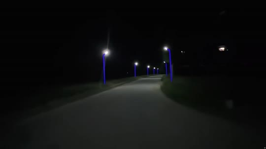 蓝莓up（搬家入庄园图一一