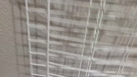 图一一驾到