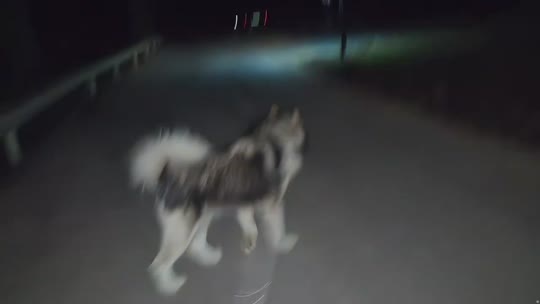 老爷们回庄园