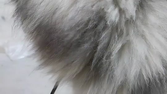 卡商宝宝超级白