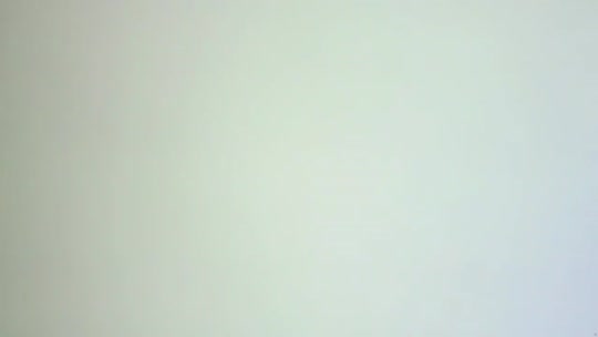 回山东