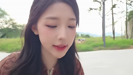 6张公爵