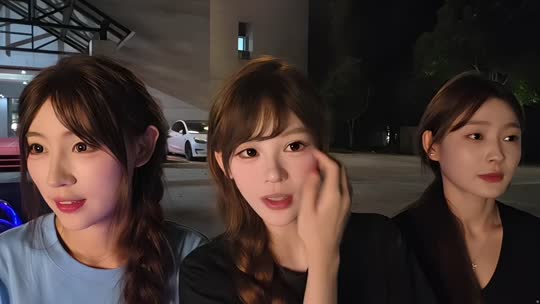 三角庄联合行动D组