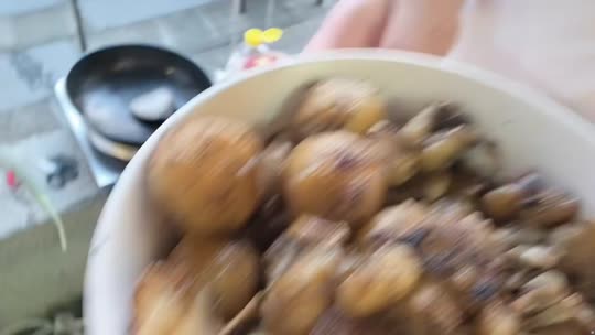 欢迎来到我的直播间