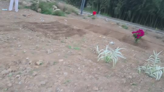 欢迎来到我的直播间