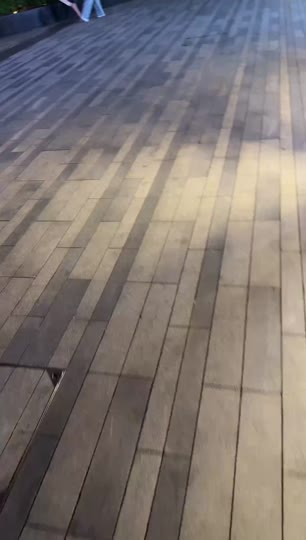 天九798正在直播