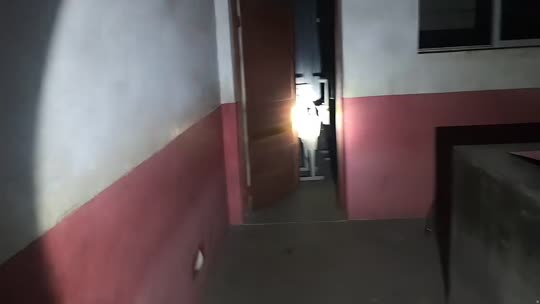 神奇小学