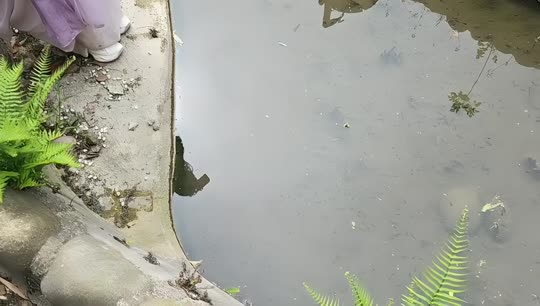 成都成都