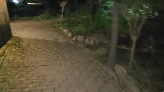 lu哥荣升君王剑士免费 守4up