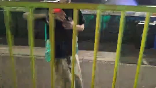 上海电音节