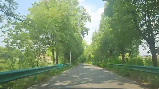 圣崽的打工日记