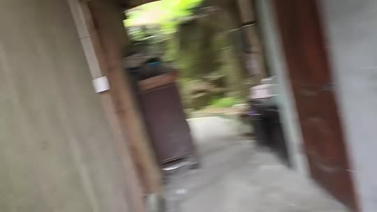 798团播