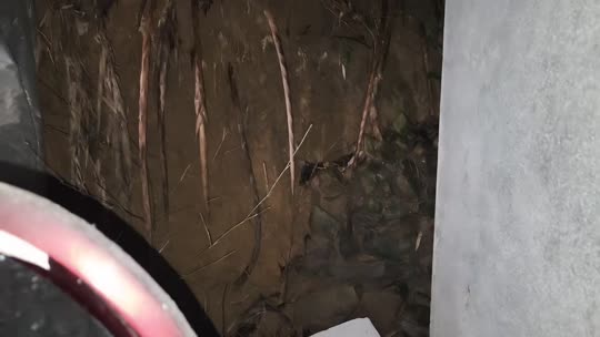 798变形计捉迷藏