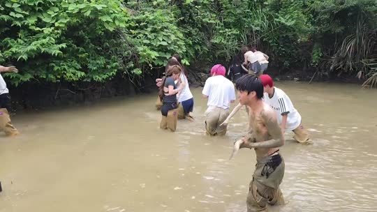 回家看看