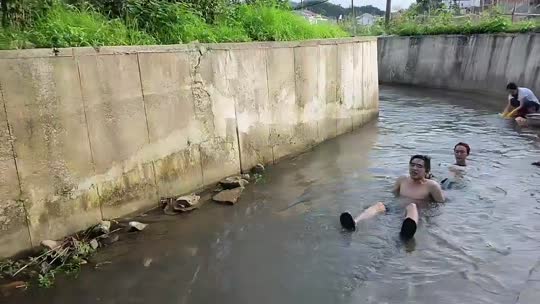 回家看看
