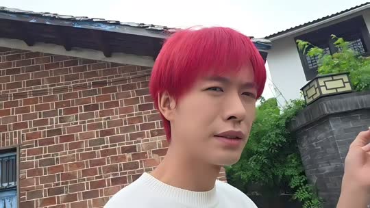 回家看看