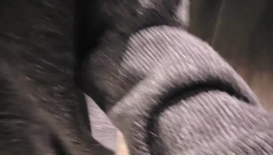 你好
