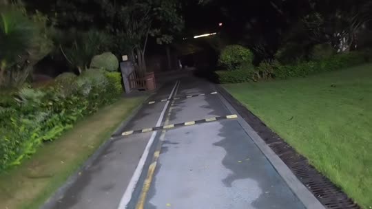 日常