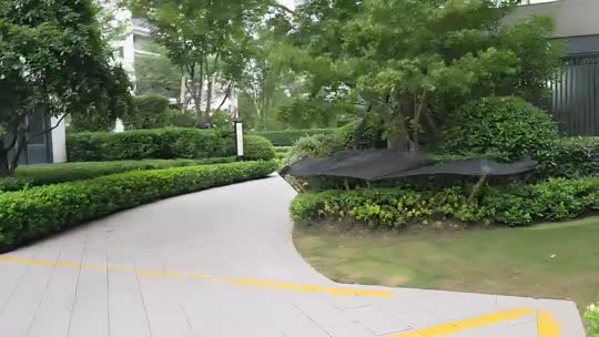 日常