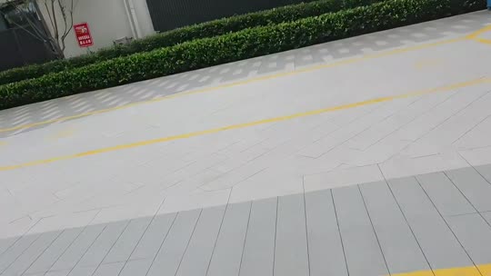 子圣四周年快乐