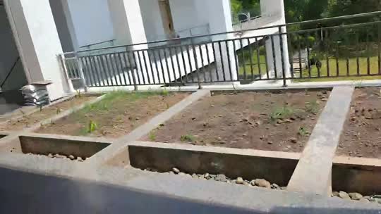 798交换生zkl么么哒