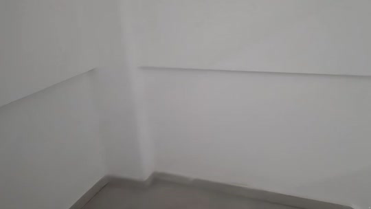 798交换生zkl么么哒