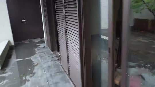 欢迎来到我的直播间