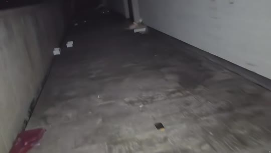 欢迎来到我的直播间