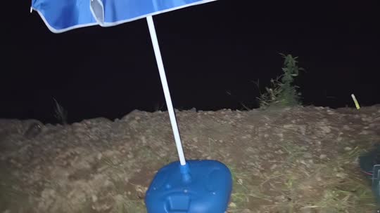 欢迎来到我的直播间