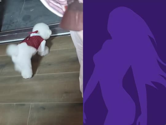 欢迎来到我的直播间