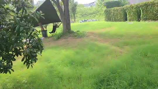 欢迎来到我的直播间