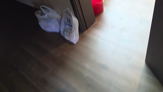 欢迎来到我的直播间